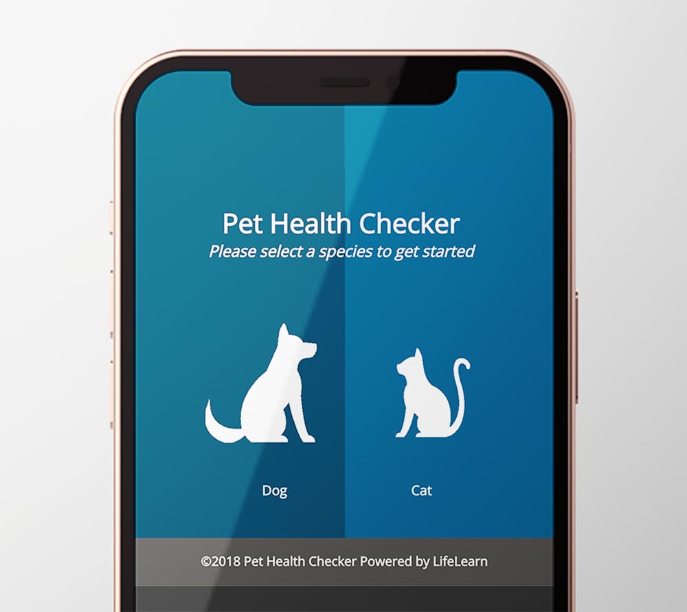 pet health checker mockup